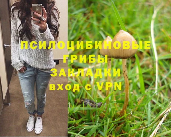 spice Абдулино